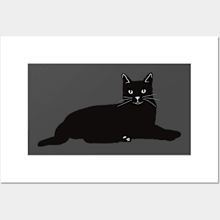 The Black cat is chilling and watching you. Posters and Art